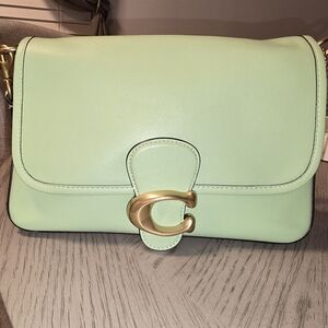 GUARANTEED AUTHENTIC Mint Coach Soft Tabby